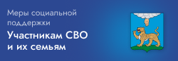 Меры социальной поддержки участникам СВО и их семьям Меры социальной поддержки участникам СВО и их семьям