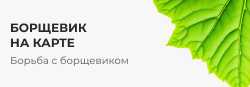 Борьба с борщевиком Борьба с борщевиком