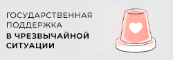 Получите финансовую помощь и социальные гарантии, если попали в ЧС
